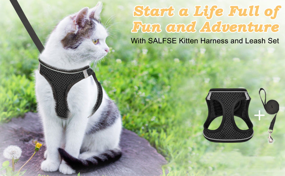 😺Halsband och koppel för katter, för att förhindra att de rymme