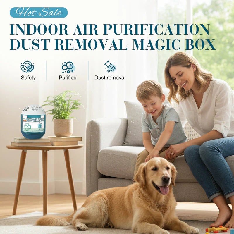 🔥2026 New & Upgraded -- Indoor Air Purification Dust Removal Magic Box🏠Limited-Time Offer⏰