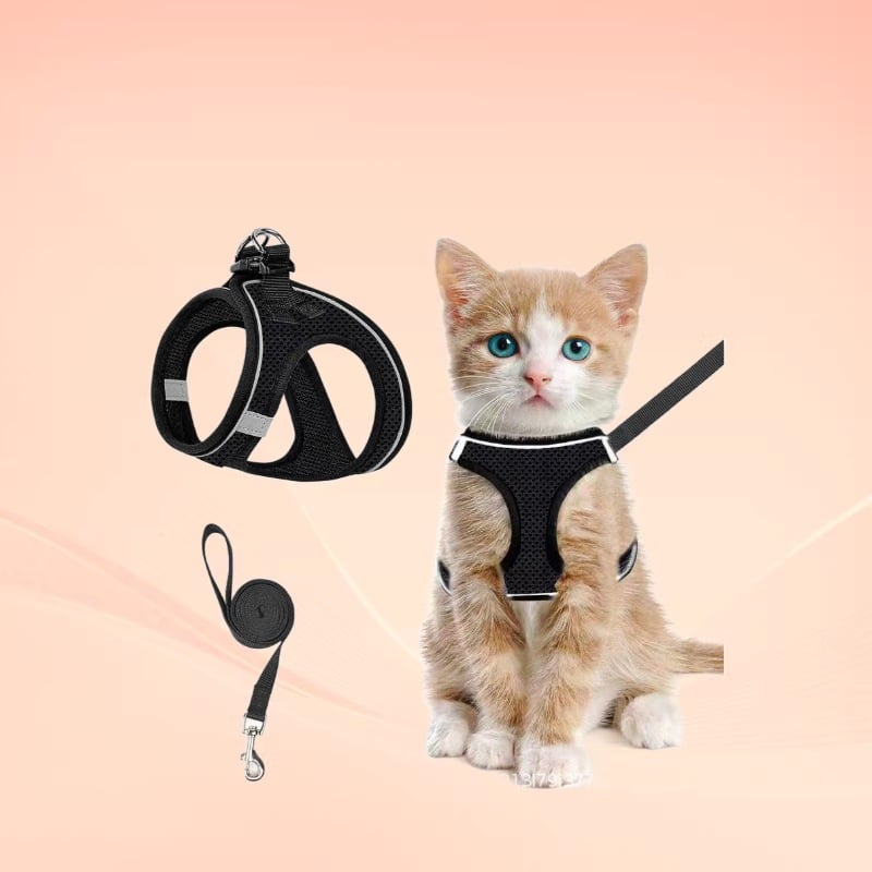 😺Halsband och koppel för katter, för att förhindra att de rymme