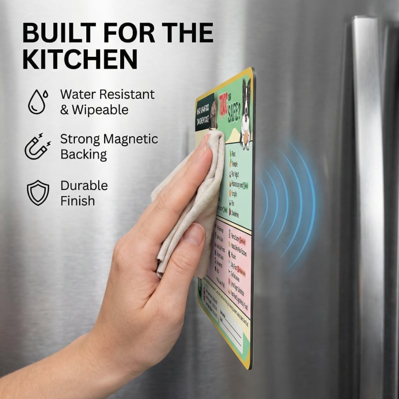 "Kan min hund/katt äta detta?" Magnet – Den ultimata snabbguiden för husdjursägare! Kylskåpsmagnet för djur