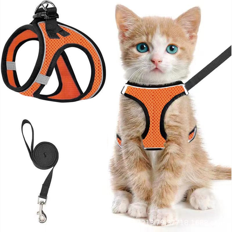 😺Halsband och koppel för katter, för att förhindra att de rymme