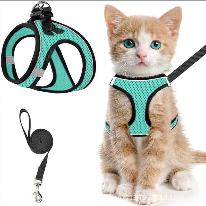 😺Halsband och koppel för katter, för att förhindra att de rymme
