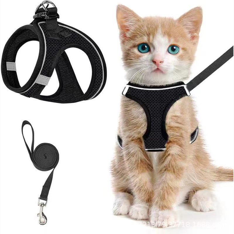 😺Halsband och koppel för katter, för att förhindra att de rymme