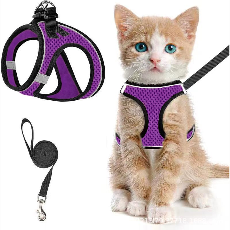 😺Halsband och koppel för katter, för att förhindra att de rymme