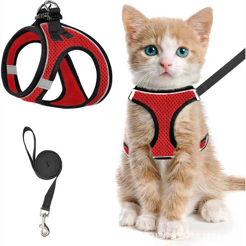 😺Halsband och koppel för katter, för att förhindra att de rymme