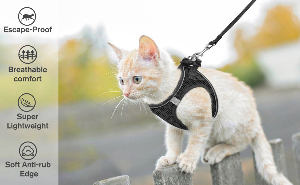 😺Halsband och koppel för katter, för att förhindra att de rymme