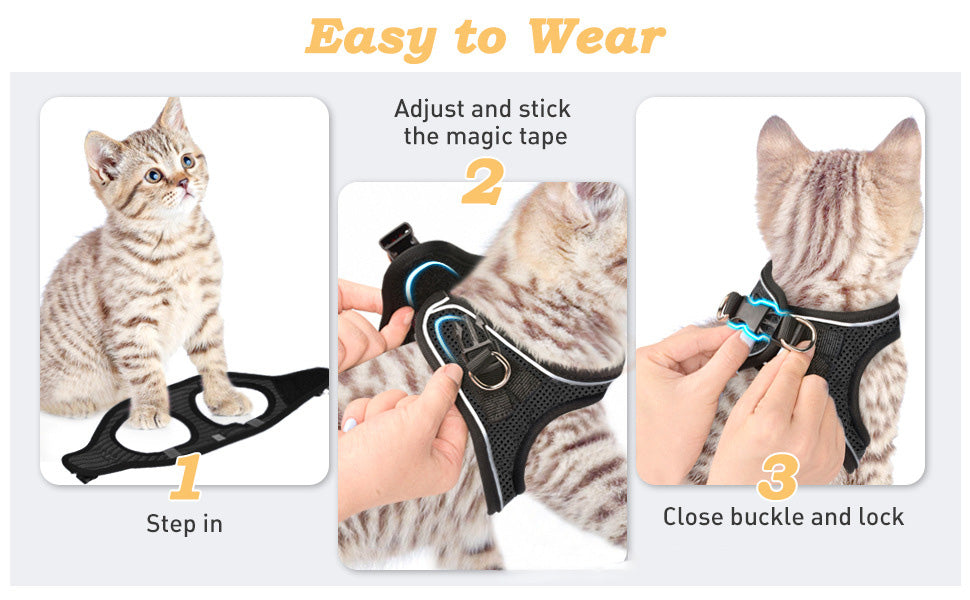 😺Halsband och koppel för katter, för att förhindra att de rymme