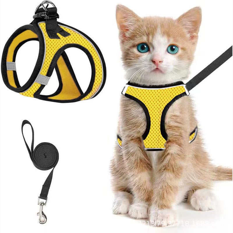 😺Halsband och koppel för katter, för att förhindra att de rymme