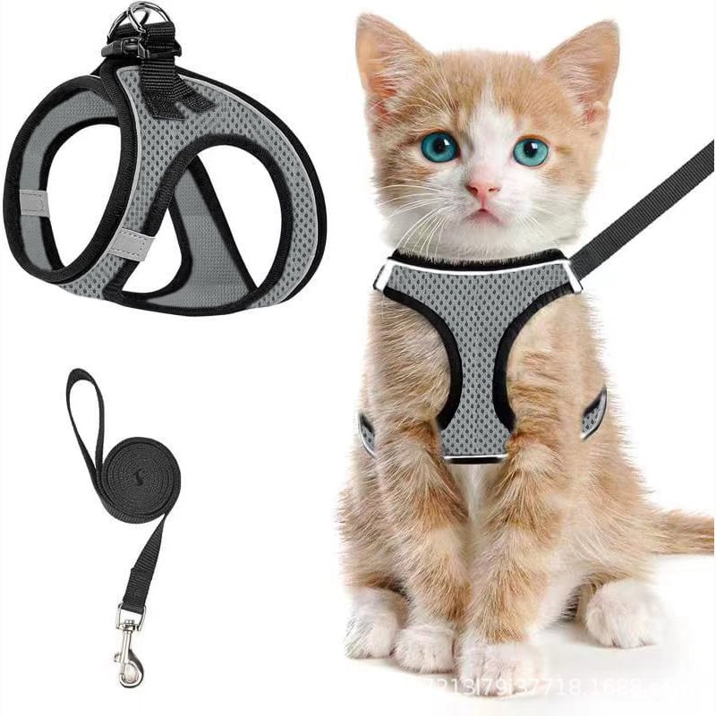 😺Halsband och koppel för katter, för att förhindra att de rymme